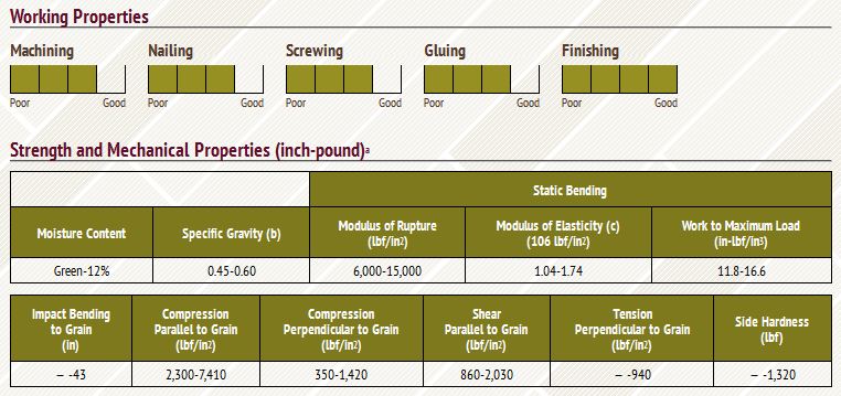 Đặc tính gỗ tần bì